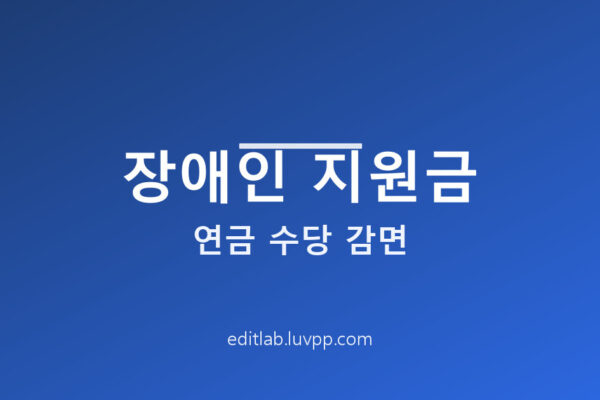 장애인 지원금 연금 수당 감면과 종류 및 자주 묻는 질문 총정리