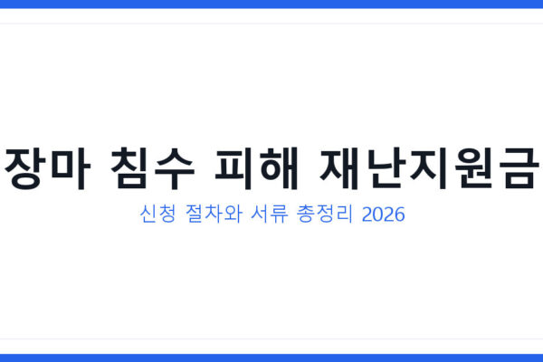 장마 침수 피해 재난지원금 신청방법과 실제 사례로 보는 지원 과정