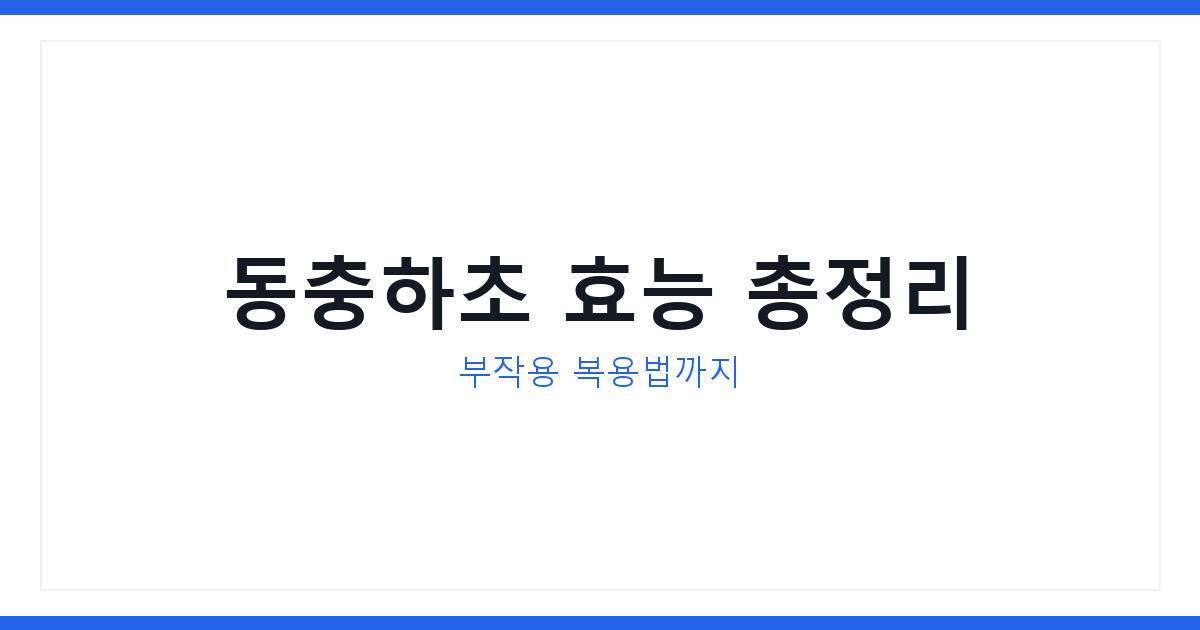 동충하초 효능과 부작용 2026년 하루 섭취량 복용법 완벽 총정리