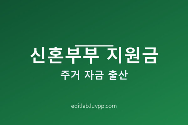 신혼부부 지원금 주거 자금 출산까지 총정리