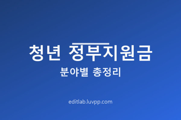 청년 정부지원금 분야별 총정리 놓치면 손해