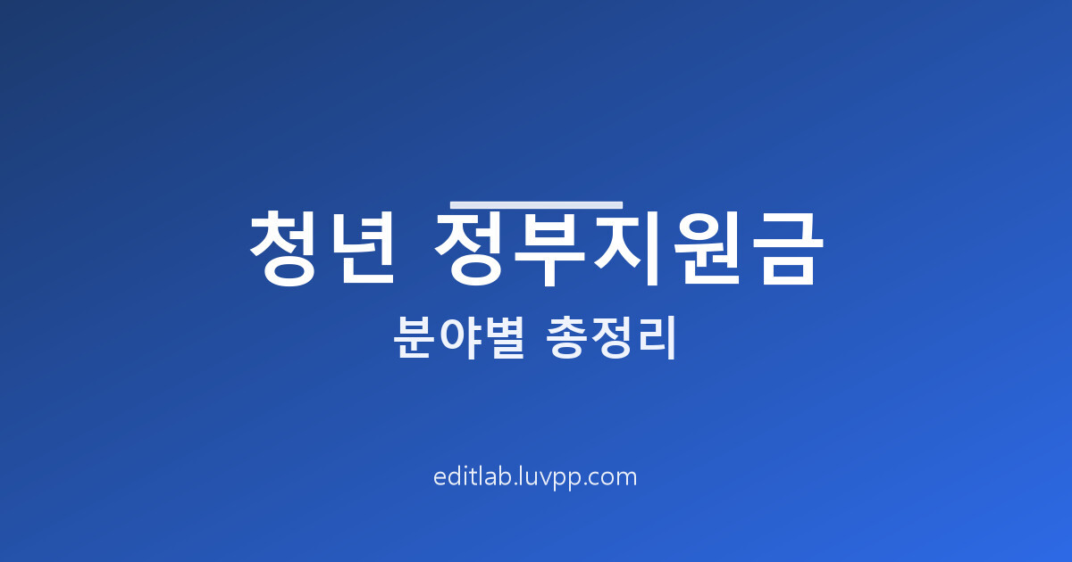 청년 정부지원금 분야별 총정리 놓치면 손해