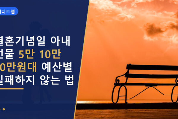 결혼기념일 아내 선물 5만 10만 20만원대 예산별 실패하지 않는 법