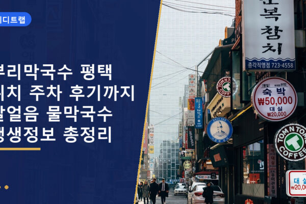 뿌리막국수 평택 위치 주차 후기까지 살얼음 물막국수 생생정보 총정리