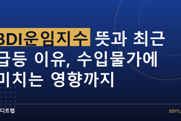 BDI운임지수 뜻과 최근 급등 이유, 수입물가에 미치는 영향까지