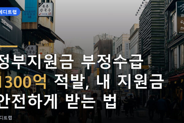 정부지원금 부정수급 1300억 적발, 내 지원금 안전하게 받는 법