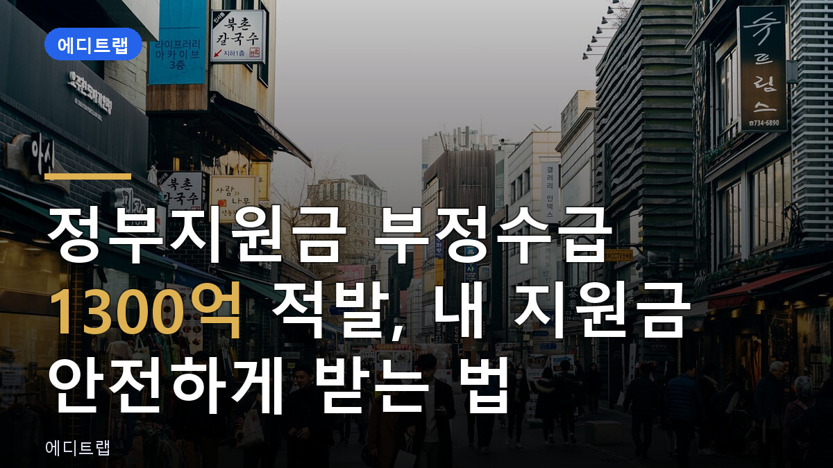 정부지원금 부정수급 1300억 적발, 내 지원금 안전하게 받는 법