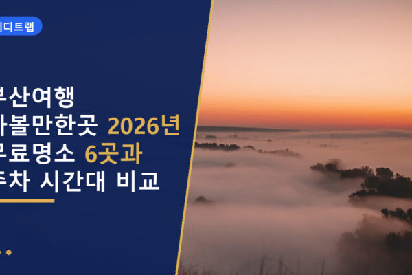 부산여행 가볼만한곳 2026년 무료명소 6곳과 주차 시간대 비교