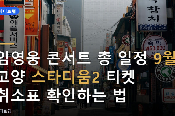 임영웅 콘서트 총 일정 9월 고양 스타디움2 티켓 취소표 확인하는 법
