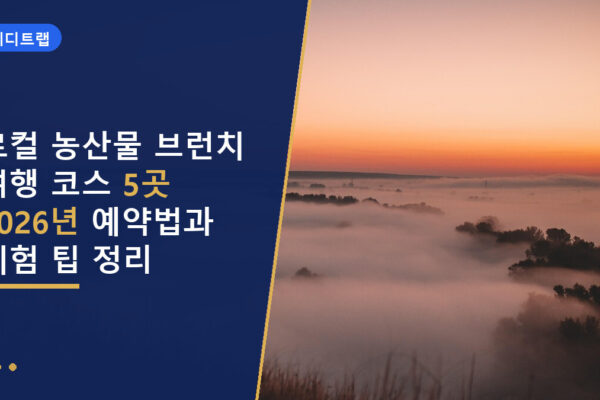 로컬 농산물 브런치 여행 코스 5곳 2026년 예약법과 체험 팁 정리
