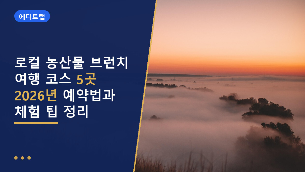 로컬 농산물 브런치 여행 코스 5곳 2026년 예약법과 체험 팁 정리