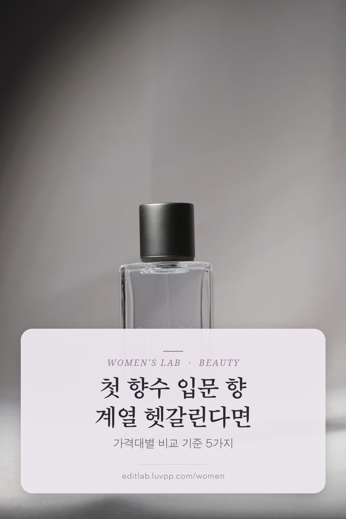 첫 향수 입문 향 계열 헷갈린다면, 가격대별 비교 기준 5가지