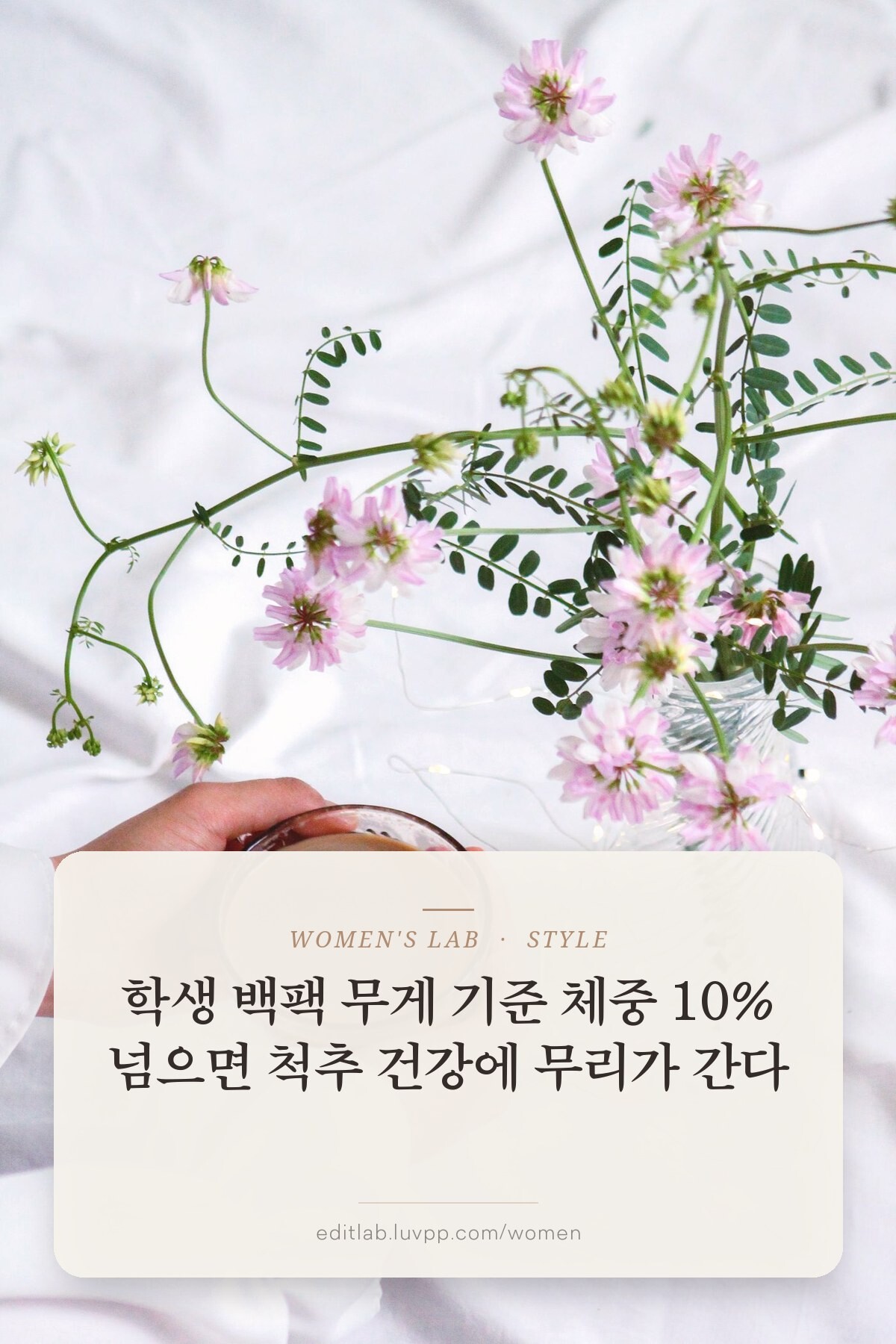 학생 백팩 무게 기준 체중 10% 넘으면 척추 건강에 무리가 간다