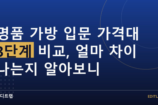 명품 가방 입문 가격대 3단계 비교, 얼마 차이 나는지 알아보니