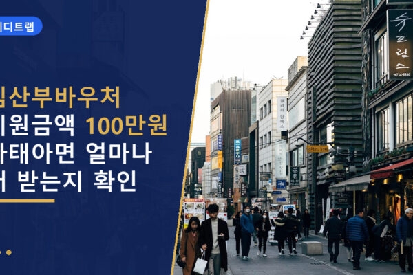 임산부바우처 지원금액 100만원 다태아면 얼마나 더 받는지 확인