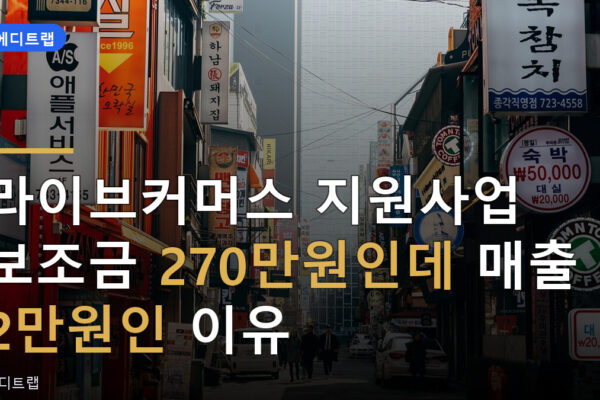 라이브커머스 지원사업 보조금 270만원인데 매출 2만원인 이유
