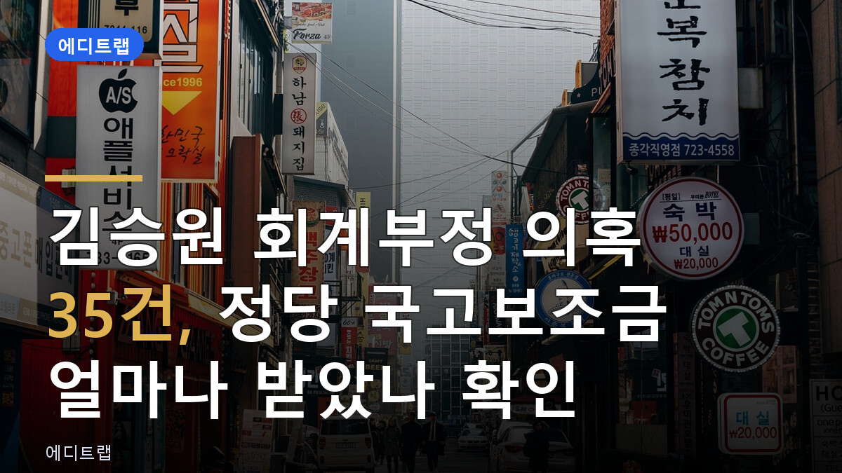 김승원 회계부정 의혹 35건, 정당 국고보조금 얼마나 받았나 확인