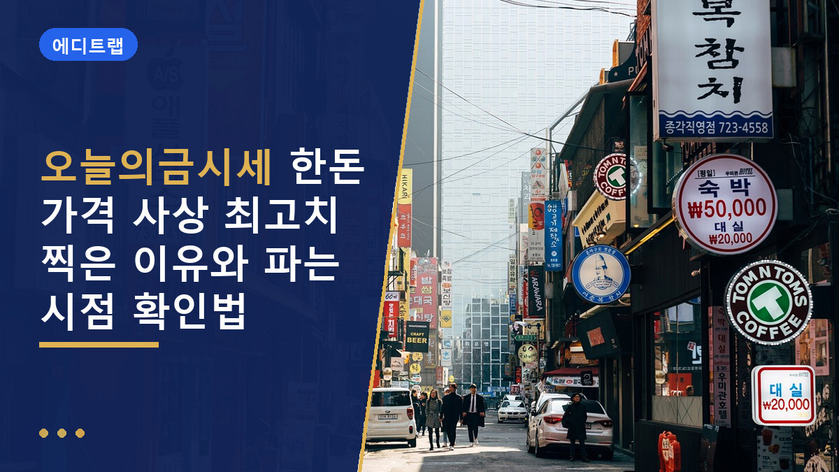 오늘의금시세 한돈 가격 사상 최고치 찍은 이유와 파는 시점 확인법