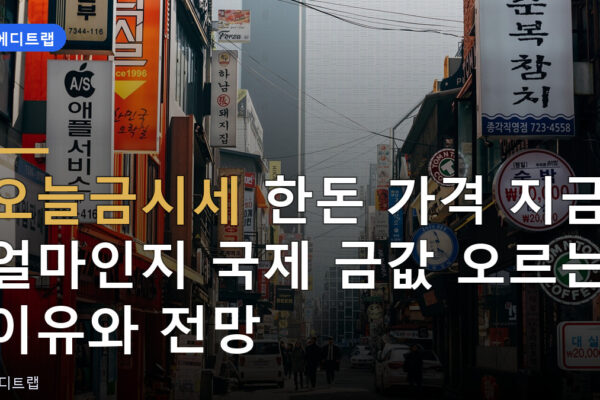 오늘금시세 한돈 가격 지금 얼마인지 국제 금값 오르는 이유와 전망