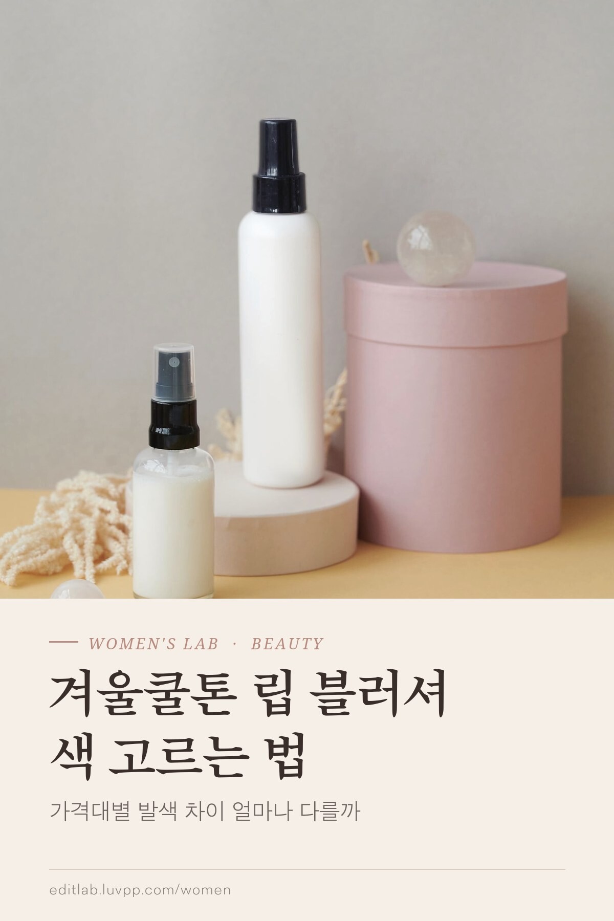 겨울쿨톤 립 블러셔 색 고르는 법, 가격대별 발색 차이 얼마나 다를까