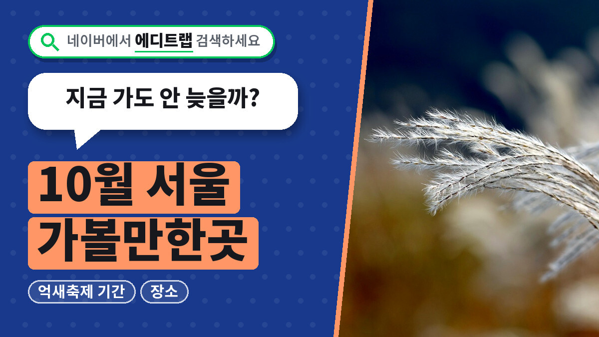 10월 서울 가볼만한곳 억새축제 기간과 장소, 지금 가도 안 늦을까?