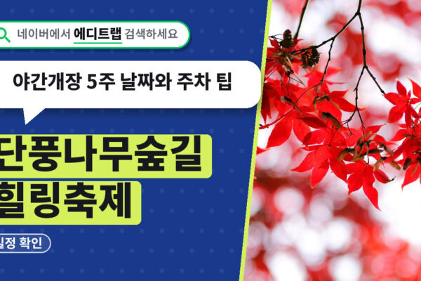 단풍나무숲길 힐링축제 일정 확인, 야간개장 5주 날짜와 주차 팁
