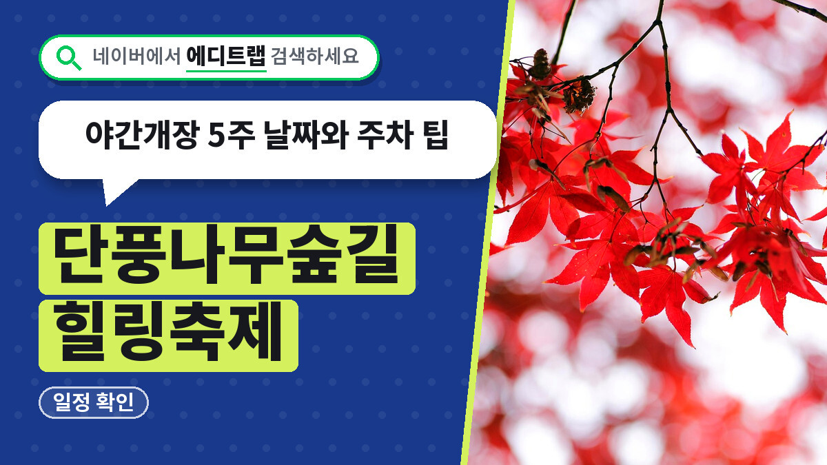 단풍나무숲길 힐링축제 일정 확인, 야간개장 5주 날짜와 주차 팁