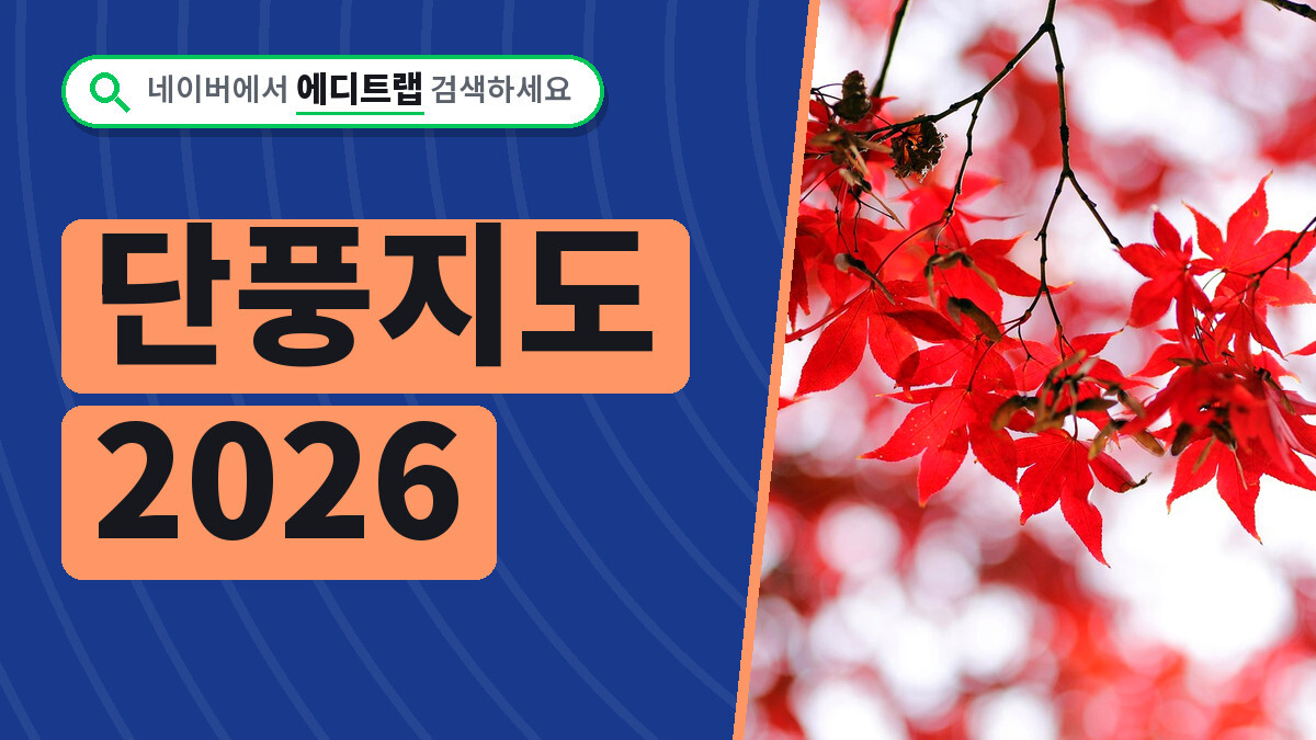 단풍지도 2026 절정 날짜, 설악산 내장산 붐비는 주말 피하기