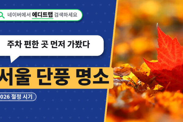 서울 단풍 명소 2026 절정 시기, 주차 편한 곳 먼저 가봤다