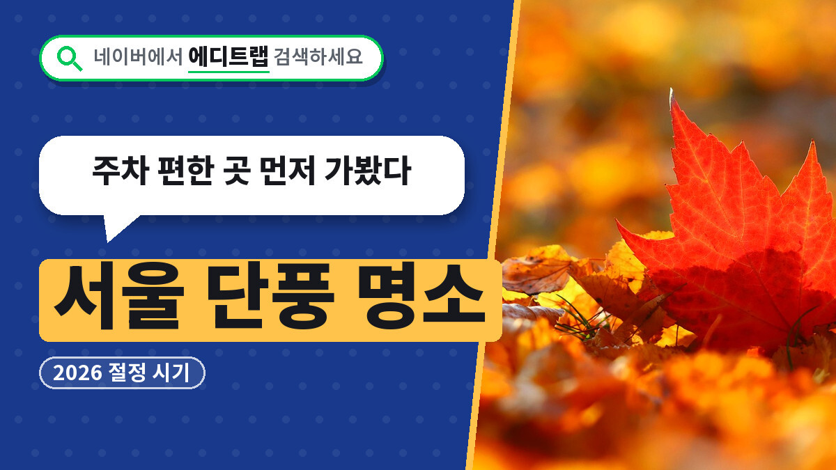 서울 단풍 명소 2026 절정 시기, 주차 편한 곳 먼저 가봤다