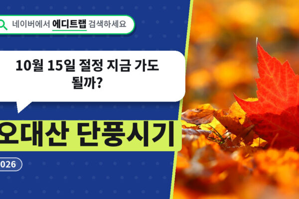 오대산 단풍시기 2026, 10월 15일 절정 지금 가도 될까