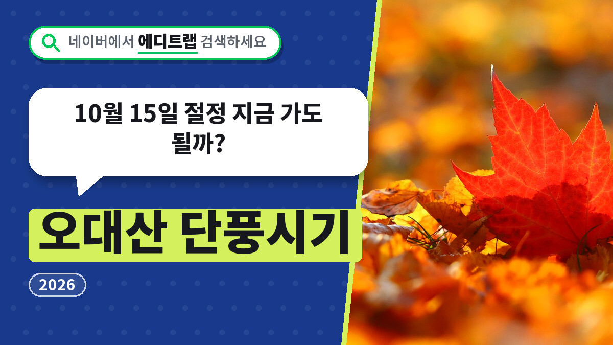 오대산 단풍시기 2026, 10월 15일 절정 지금 가도 될까