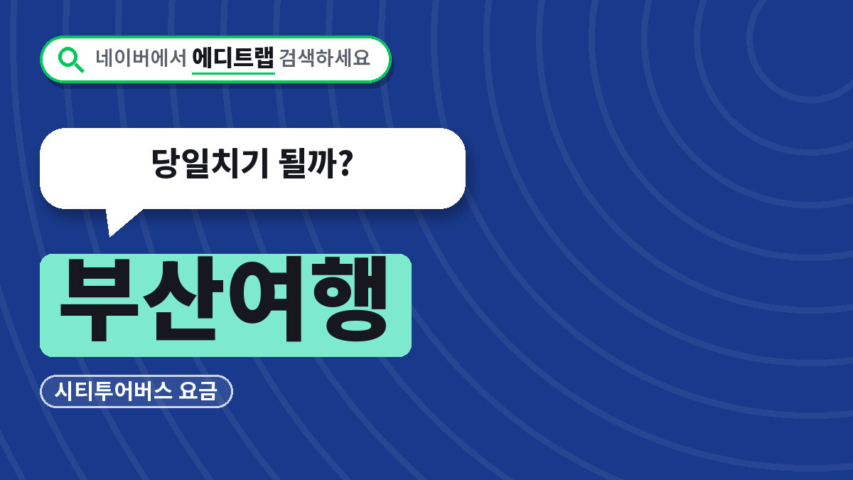 부산여행 2026 가을축제 일정과 시티투어버스 요금, 당일치기 될까?